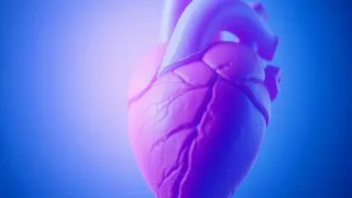 Beyond Clogged Arteries: Mayo Clinic Study Uncovers Surprising Heart Attack Causes in Younger Women